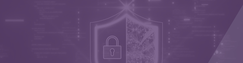Report Banner Image