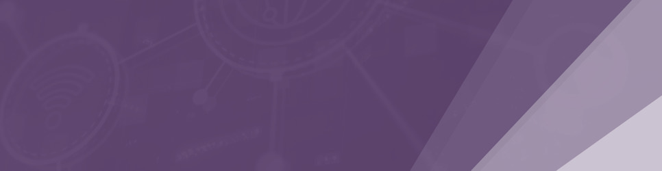 Report Banner Image