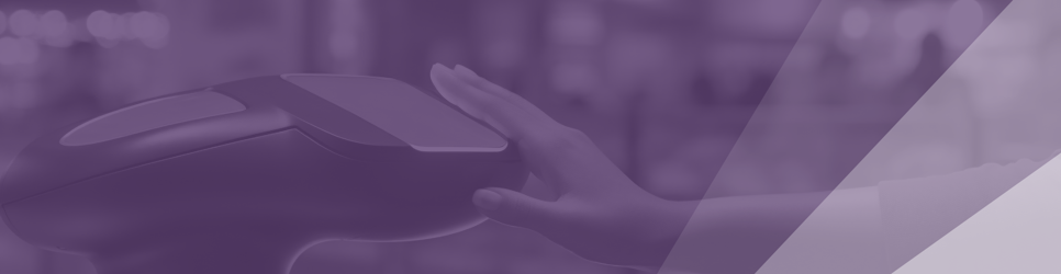 Report Banner Image