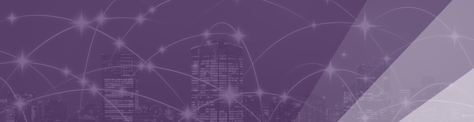 Report Banner Image
