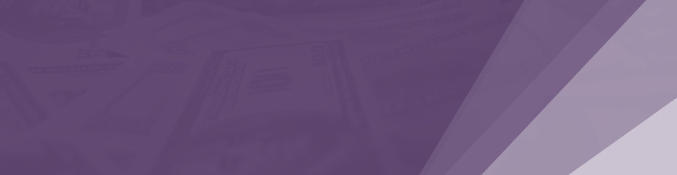 Report Banner Image