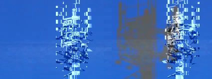 Insight Banner Image
