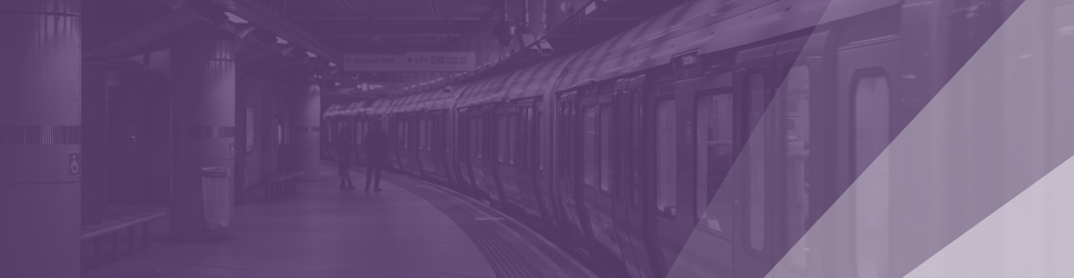 Report Banner Image