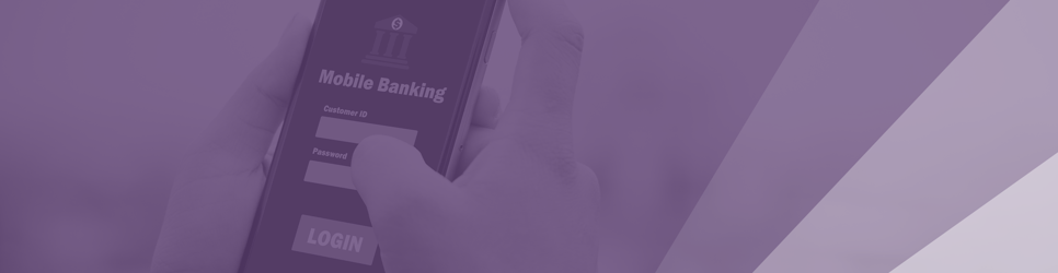 Report Banner Image