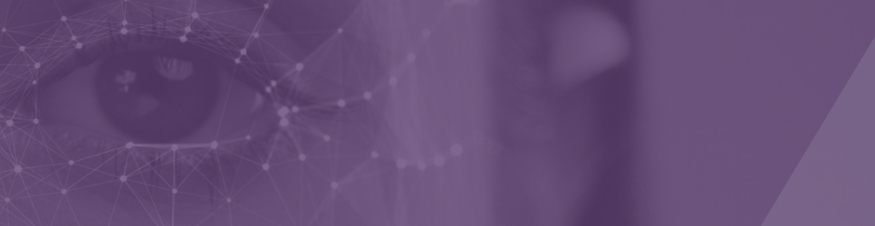 Report Banner Image
