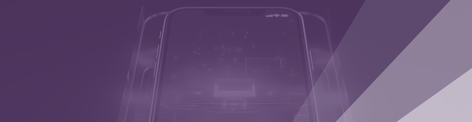 Report Banner Image